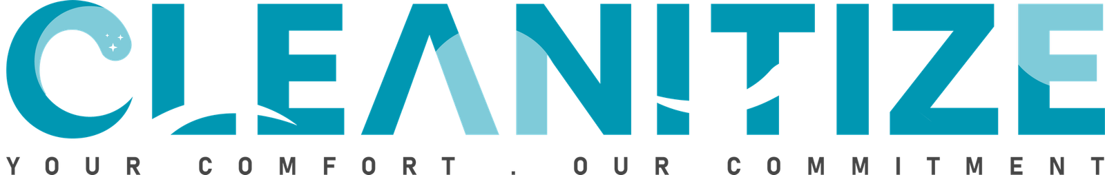 Cleanitize logo