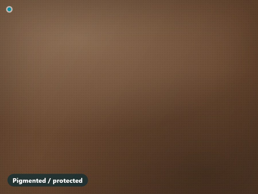 Pigmented protected leather sofa — leather sofa cleaning Singapore | Cleanitize