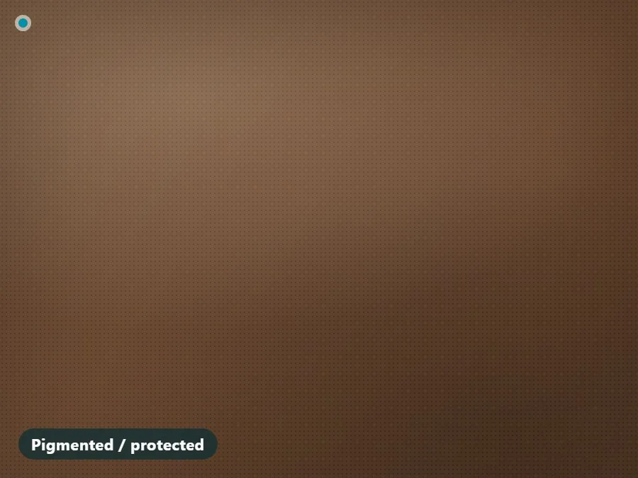 Pigmented protected leather sofa — leather sofa cleaning Singapore | Cleanitize