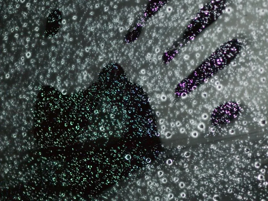 Fingerprints and smudges on glass — cleaned by Cleanitize window cleaning Singapore